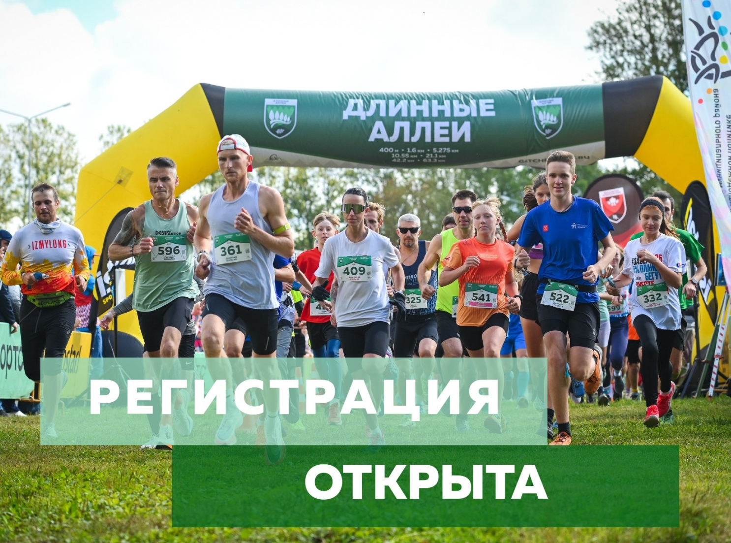 Длинные аллеи пройдут 30 августа Длинные аллеи пройдут 30 августа